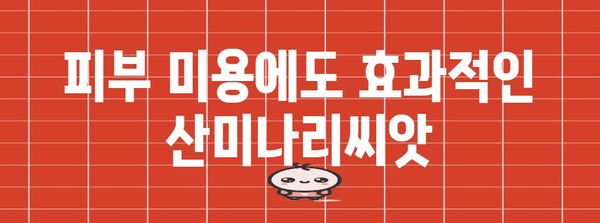 산미나리씨앗의 다양한 효능 찾기