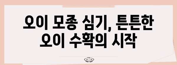 오이 모종 심기 모든 것 | 시기, 방법, 성공적 재배 기술