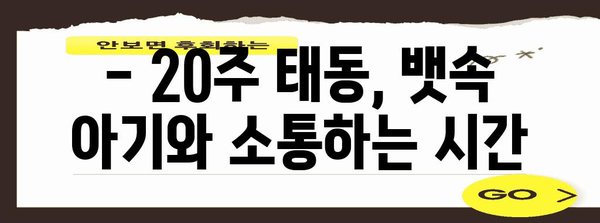 태동이 활발해지는 20주 임신기 | 신호와 주의 사항