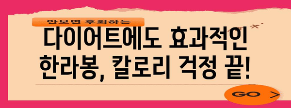 한라봉 건강 비밀 | 탁월한 효능 8가지
