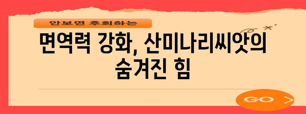 산미나리씨앗의 다양한 효능 찾기