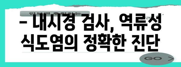 역류성 식도염의 증상과 정확한 진단법