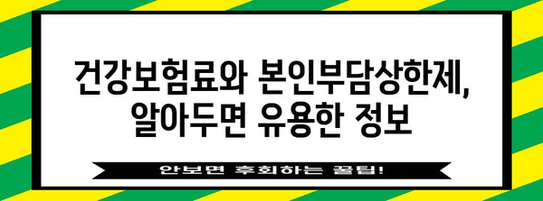 본인부담상한제, 내가 내야 할 의료비는 얼마일까요? | 건강보험, 의료비, 상한액, 계산, 확인