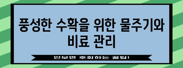 방울 양배추 재배 | 건강한 수확을 보장하는 핵심 원칙