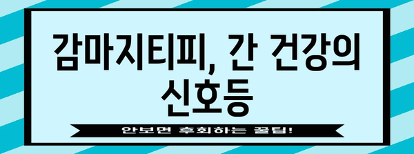 감마지티피 수치 이해 | 간 건강의 바로미터