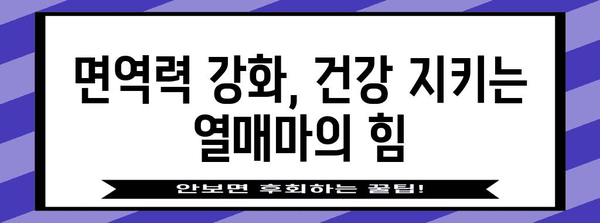 비타민이 가득한 열매마 | 영양소가 마보다 좋은 놀라운 효능