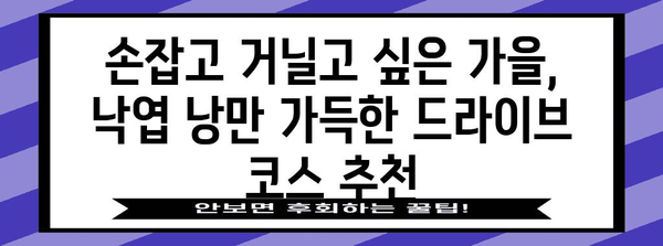 가을 로맨틱 데이트 | 낙엽 낭만 가득한 명소 5선