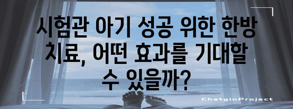 시험관아기 임신 성공 | 한방 치료의 효과적 역할
