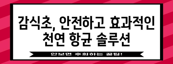 감식초의 강력한 항균 효능 | 천연 살균제의 힘