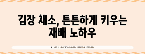 배추, 김장무, 김장갓 심는 최적 시기와 수확 팁