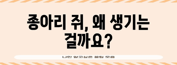 종아리 쥐 해결 가이드 | 원인별 맞춤 해결책