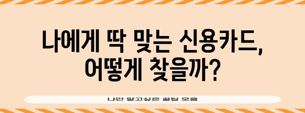 사회초년생 신용카드 발급 가이드 | 맞춤형 카드 선택과 혜택 활용