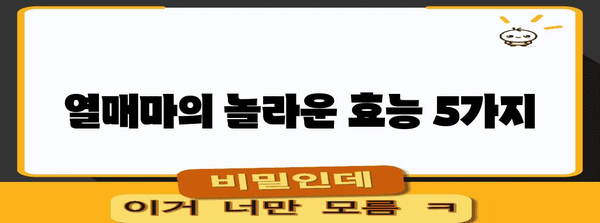 비타민이 가득한 열매마 | 영양소가 마보다 좋은 놀라운 효능