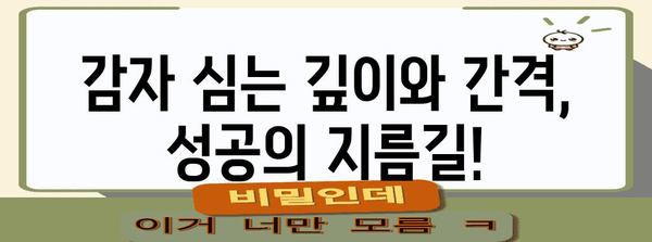 감자 심기의 비결 | 계절별 가이드와 수확 시기