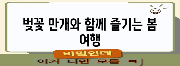 일본 여행을 위한 최적의 시기 | 2024년 기준