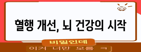 혈행과 기억력 향상을 위한 영양제 | 포괄적 가이드