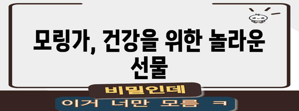 모링가의 11가지 놀라운 효능과 효과적인 섭취법