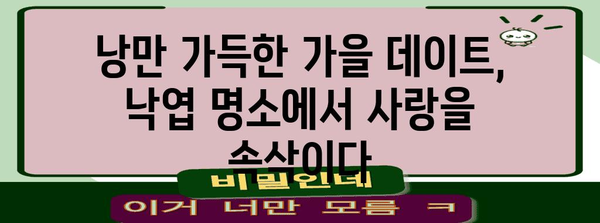 가을 로맨틱 데이트 | 낙엽 낭만 가득한 명소 5선