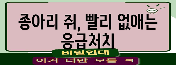 종아리 쥐 해결 가이드 | 원인별 맞춤 해결책