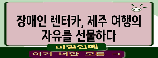 제주 장애인 렌터카 활용 | 편리한 여행을 위한 정보