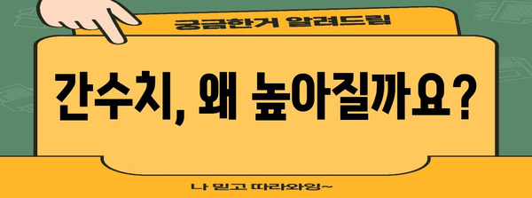 간수치 낮추기 완벽 안내 | 높은 간수치 원인과 정상화 방법