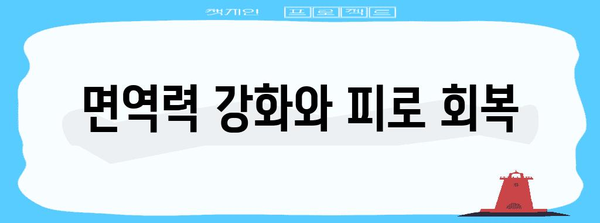 당귀의 종합적인 건강상 이점