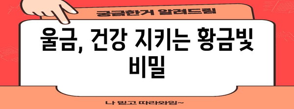 울금의 11가지 효능과 부작용 알아두기