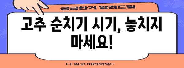 고추 순치기 | 풍부한 수확을 위한 필수 작업