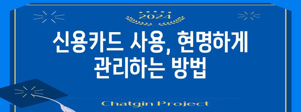 사회초년생 신용카드 발급 가이드 | 맞춤형 카드 선택과 혜택 활용
