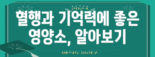 혈행과 기억력 향상을 위한 영양제 | 포괄적 가이드