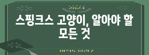 스핑크스 고양이의 성격과 관리 핵심