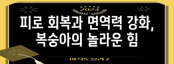 복숭아 효능 10가지 | 피로 회복에서 보관법까지
