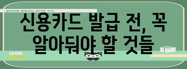 사회초년생 신용카드 발급 가이드 | 맞춤형 카드 선택과 혜택 활용