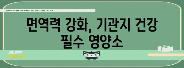 기관지 건강 증진 위한 필수 영양제 안내