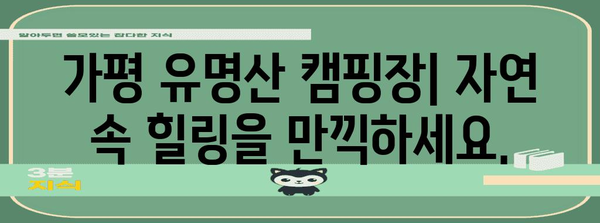 가평 유명산 캠핑 및 물놀이 가이드 | 최상의 경험