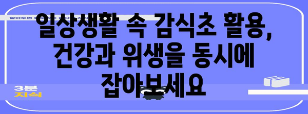 감식초의 강력한 항균 효능 | 천연 살균제의 힘