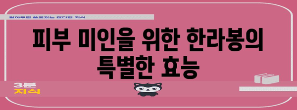 한라봉 건강 비밀 | 탁월한 효능 8가지