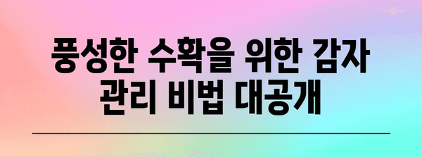 감자 심기의 비결 | 계절별 가이드와 수확 시기