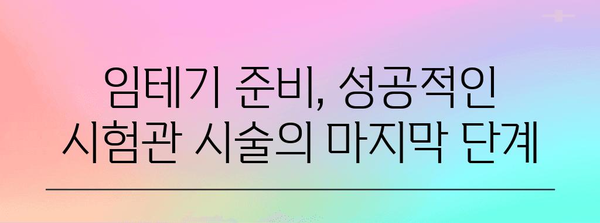 시험관 시술 성공률 향상 | 임테기 준비 완벽 가이드 공개