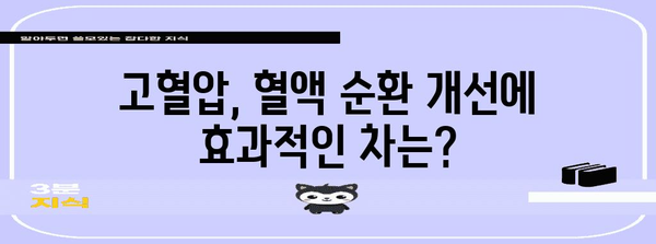 고혈압에 좋은 차 10가지 | 혈액 순환 개선
