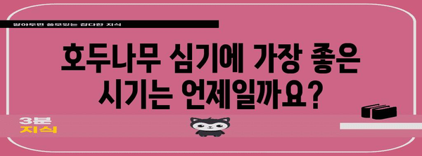 호두나무 묘목 심기 101 | 시기와 방법