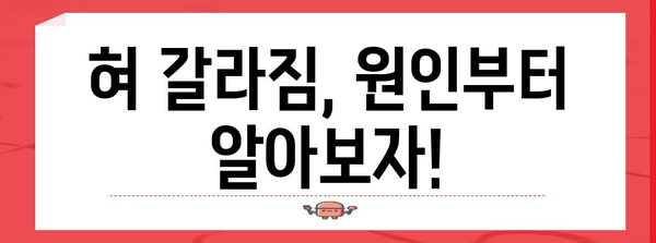 혀염증 갈라짐 예방 및 관리 방법