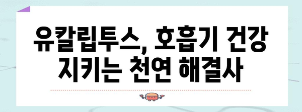 유칼립투스의 강력한 6가지 건강 이점