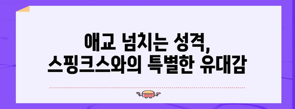 스핑크스 고양이의 성격과 관리 핵심