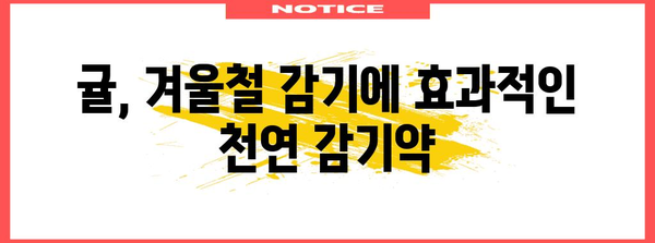 귤 마법 | 6가지 놀라운 건강 이점