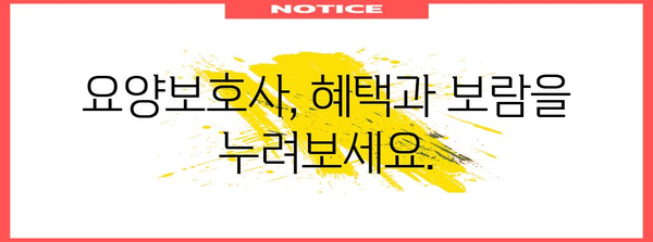 요양보호사 취업 완벽 가이드 | 자격증~혜택까지 꼼꼼히