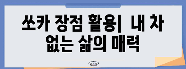 쏘카 이용 경험 비교 | 내 차와 비용 차이 분석