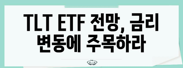 TLT ETF 투자 전략 | 배당금, 전망, 주의 사항