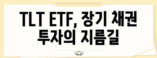 TLT ETF 투자 전략 | 배당금, 전망, 주의 사항