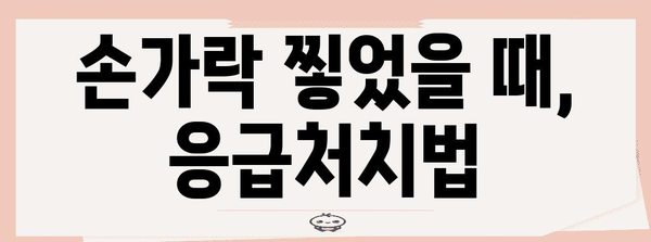- 손가락 찧은 경우 병원 방문 시기 안내 | 증상, 예방법